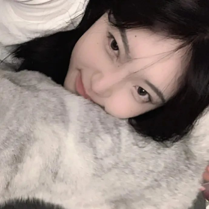 救猪行动